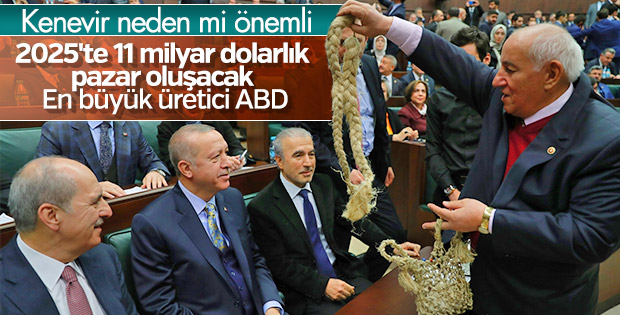 Kenevir üretiminin dünya ekonomisindeki yeri