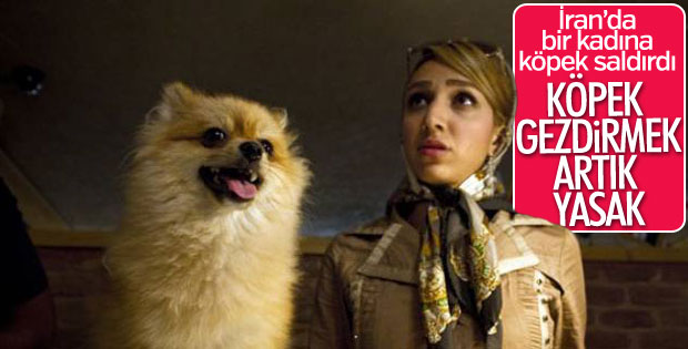 Tahranda köpek gezdirmek artık yasak 72