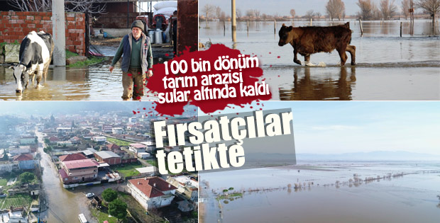 Aydın'da 100 bin dönüm tarım arazisi sular altında
