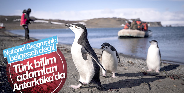 Türk ekibi Antarktika'ya ayak bastı