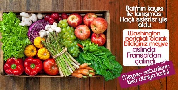 Vakanüvis meyve ve sebzeleri yazdı