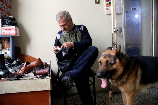 Dükkanını iki köpekle paylaşan ayakkabı tamircisi