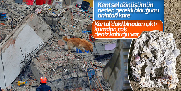 Kartal'da çöken binada kullanılan deniz kabukları