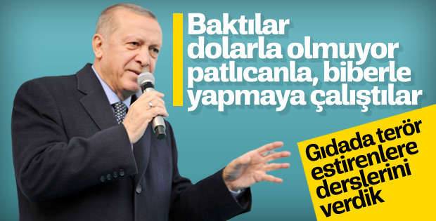 Cumhurbaşkanı Erdoğan Kastamonu'da konuştu