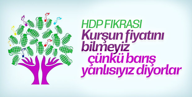 HDP Eş Başkanı Temelli: Biz barış sevdalısıyız