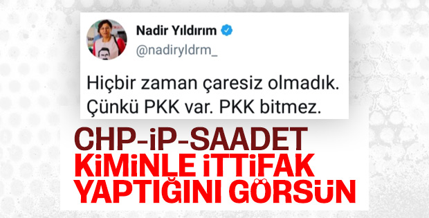 HDP'li vekil PKK ile tehdit etti