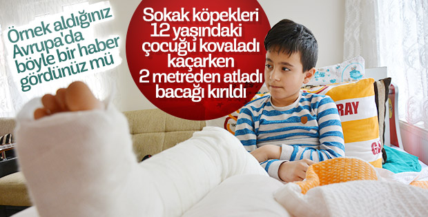 Köpeklerin kovaladığı çocuğun ayağı kırıldı