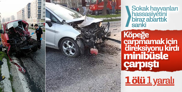 Köpeğe çarpmamak için minibüse çarptı