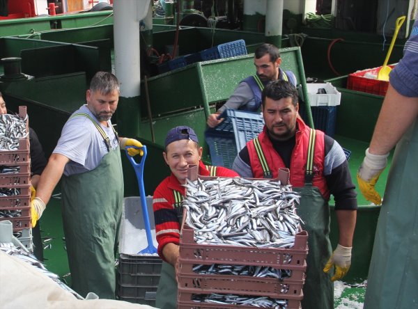 Balıkçılar şikayetçi: Biz de tanzim satış istiyoruz