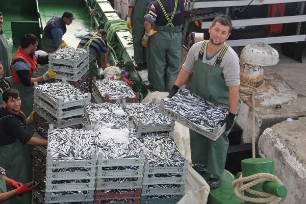 Balıkçılar şikayetçi: Biz de tanzim satış istiyoruz