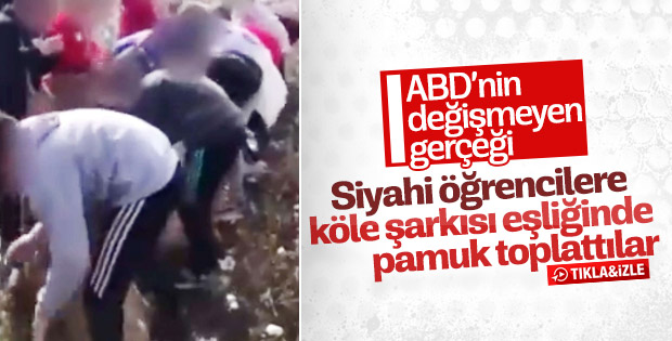 Siyahi öğrencilere 'köle şarkısıyla' pamuk toplattılar