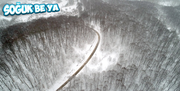 Trakya'dan kar manzaraları