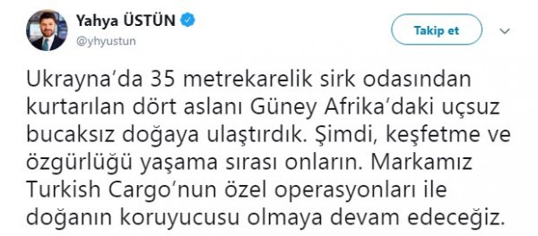 Turkish Cargo sirk aslanlarÄ±nÄ± doÄal alanlarÄ±na kavuÅturdu