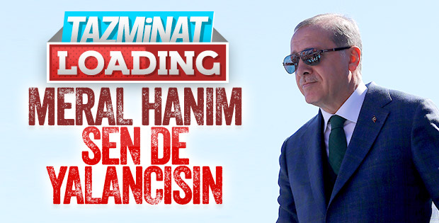 Cumhurbaşkanı, Meral Akşener'e dava açtı