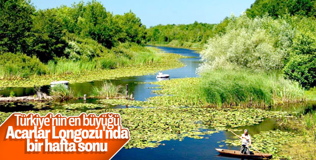 Sakarya’nın doğa harikası: Acarlar Longozu