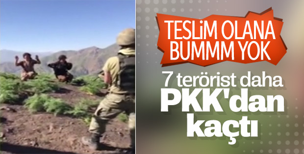 Şırnak'ta 7 terörist teslim oldu
