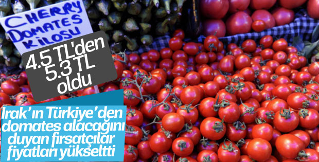 Domates fiyatlarının artış sebebi Irak'a bağlandı
