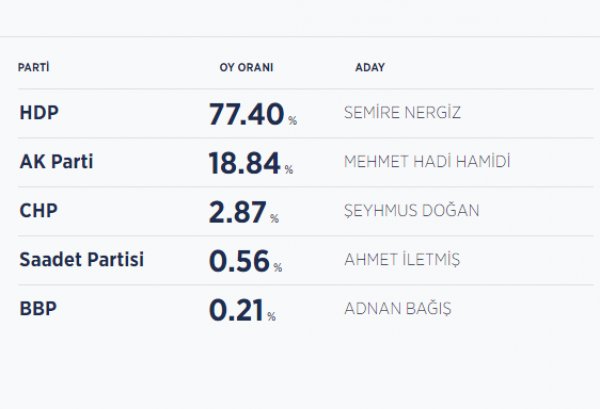 Nusaybin'de seçimleri HDP kazandı