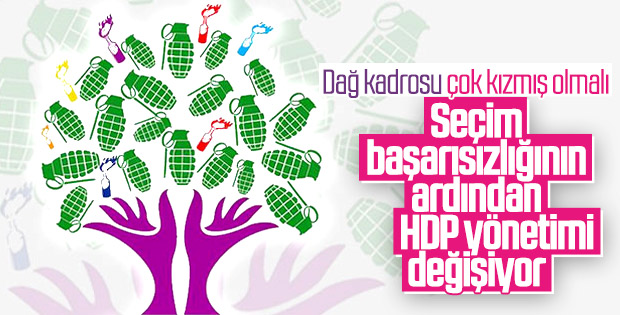 HDP revizyon kararı aldı