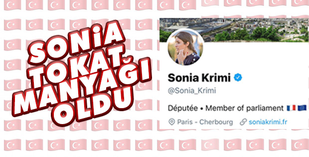 Fransız parlamenter Twitter'da da kaçamadı