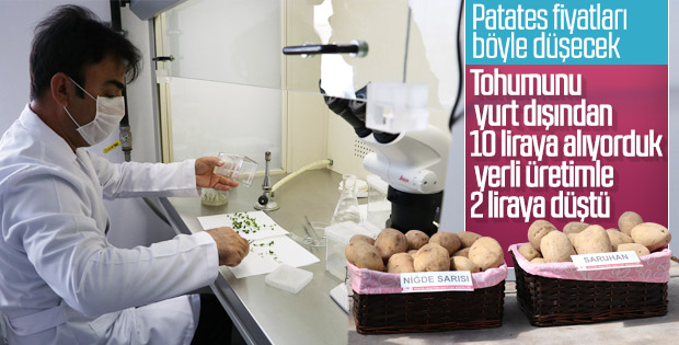 İki patates çeşidi daha Türk tarımına kazandırıldı