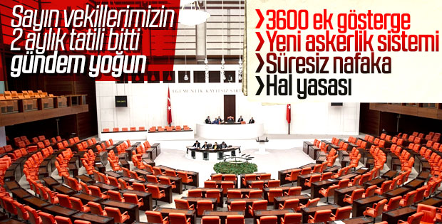 Meclis'in gündemine önemli konular gelecek