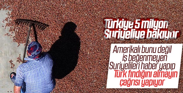 New York Times: Türkiye’den fındık almayın