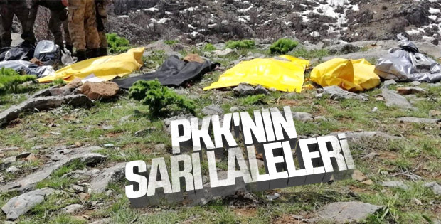 Teröristlere 2 günde büyük darbe