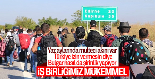 Bulgaristan düzensiz göçmen iş birliğinden memnun