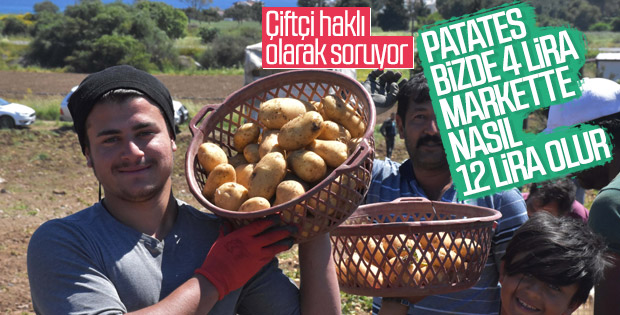 Patates tarladan İstanbul'a gelene kadar zamlanıyor