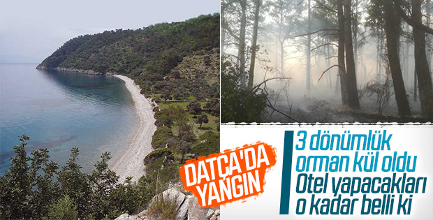 Datça’da 3 dönüm ormanlık alan kül oldu