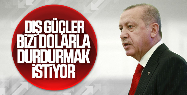 Cumhurbaşkanı Erdoğan'ın döviz yorumu