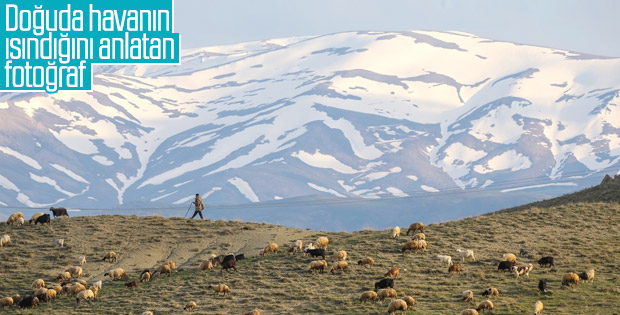 Van’da havalar ısındı, besiciler yaylaya çıktı