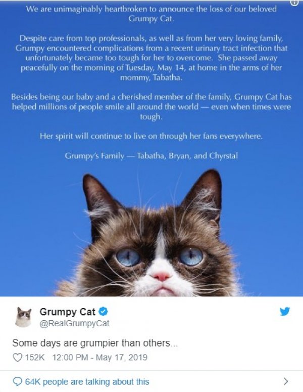 Grumpy Cat dies at age seven