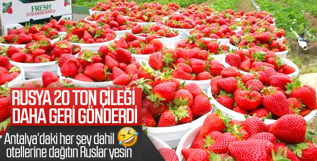Rusya 20 ton çileği geri gönderdi