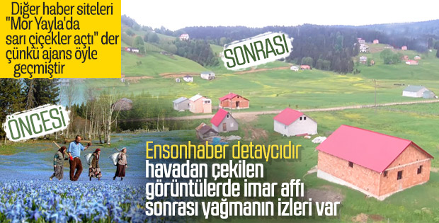 Trabzon'un Mor Yayla'sı havadan görüntülendi
