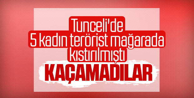 Tunceli'de 5 terörist etkisiz hale getirildi