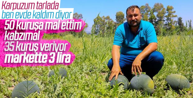 Antalya'da çiftçinin 500 ton karpuzu elinde kaldı