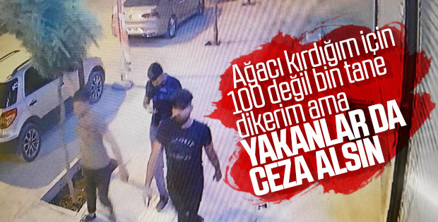 Ağaç kıran genç konuştu