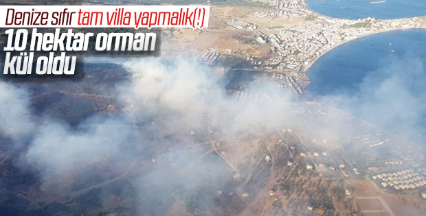 İzmir'de orman yangını