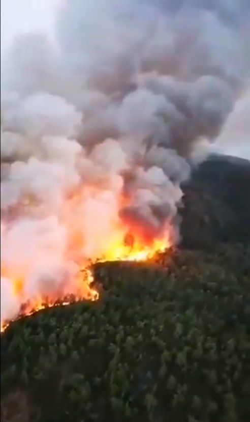 Dalaman'daki yangının boyutu gün ağırınca ortaya çıktı