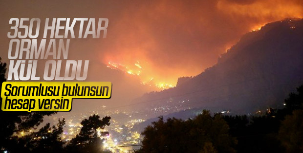 Muğla'da orman yangını durduruldu
