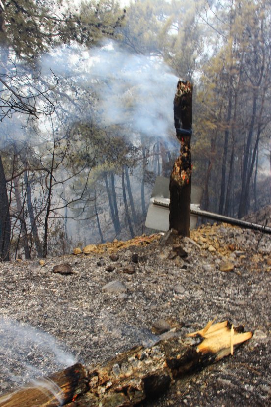 Dalaman'daki yangının boyutu gün ağırınca ortaya çıktı
