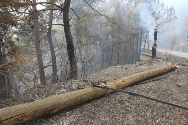 Dalaman'daki yangının boyutu gün ağırınca ortaya çıktı