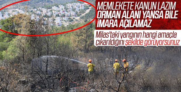 Milas'ta şüpheli orman yangını