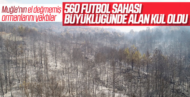 Muğla'daki orman yangınında hasar büyüyor