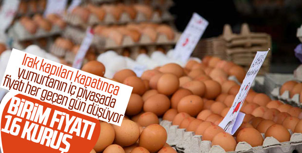 Irak'a yumurta satışı durunca iç piyasada fiyatlar düştü