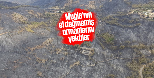 Dalaman'da çıkan yangın söndürüldü