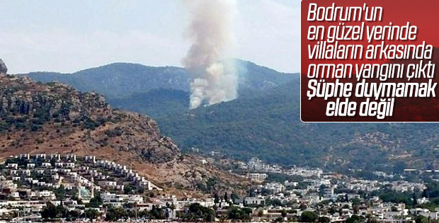 Muğla'da yine yangın çıktı