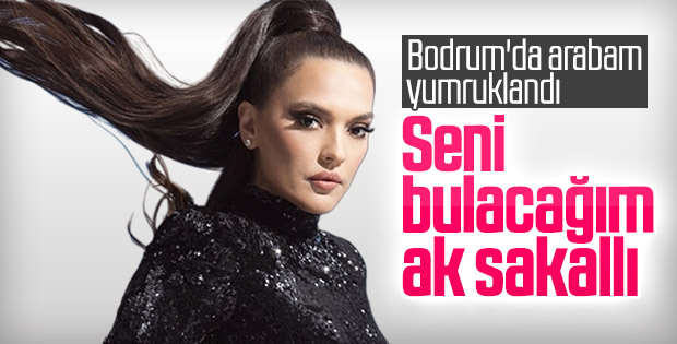 Demet Akalın, trafikte yaşadığı saldırıyı anlattı
